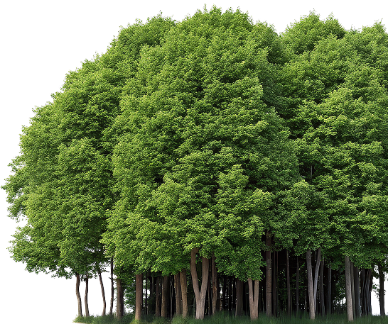 tree-grove 1