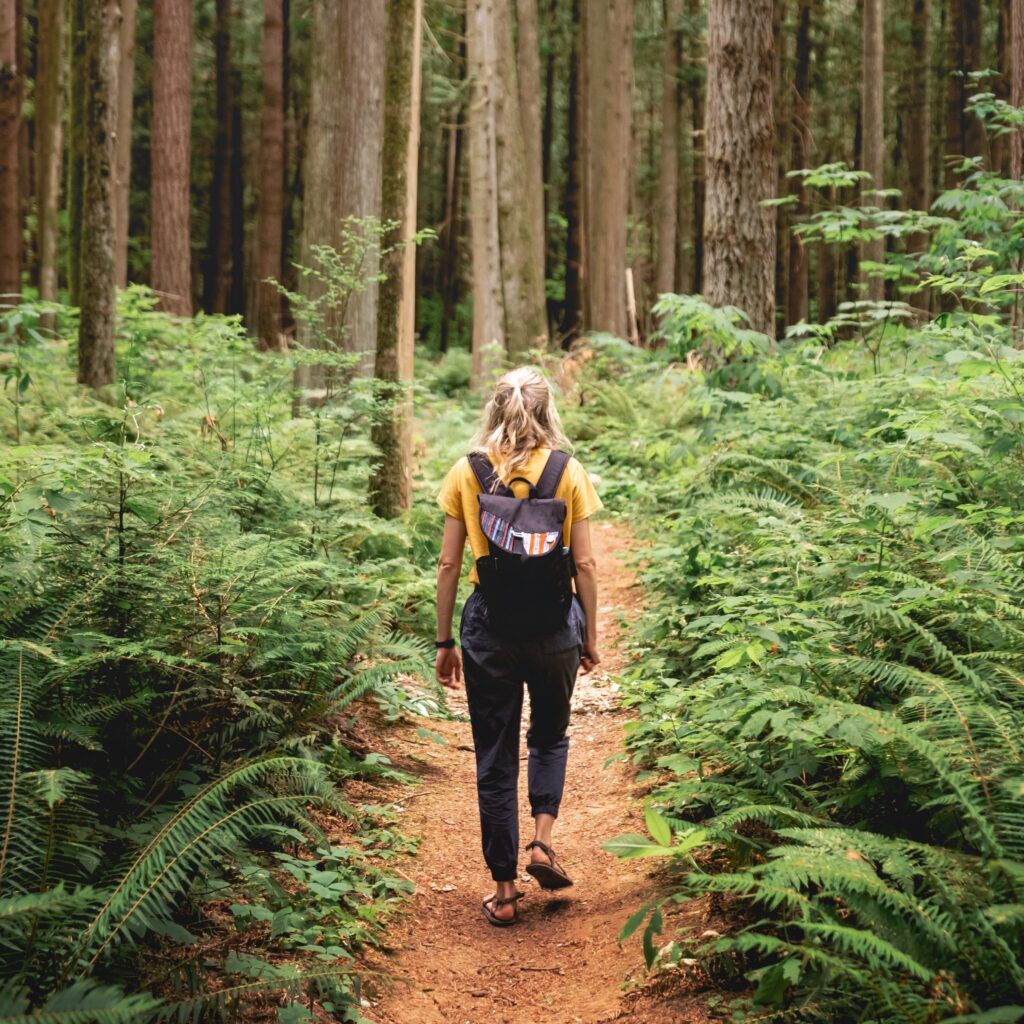 Young woman hiking among the ferns in Berthusen Park in Lynden, Washington.