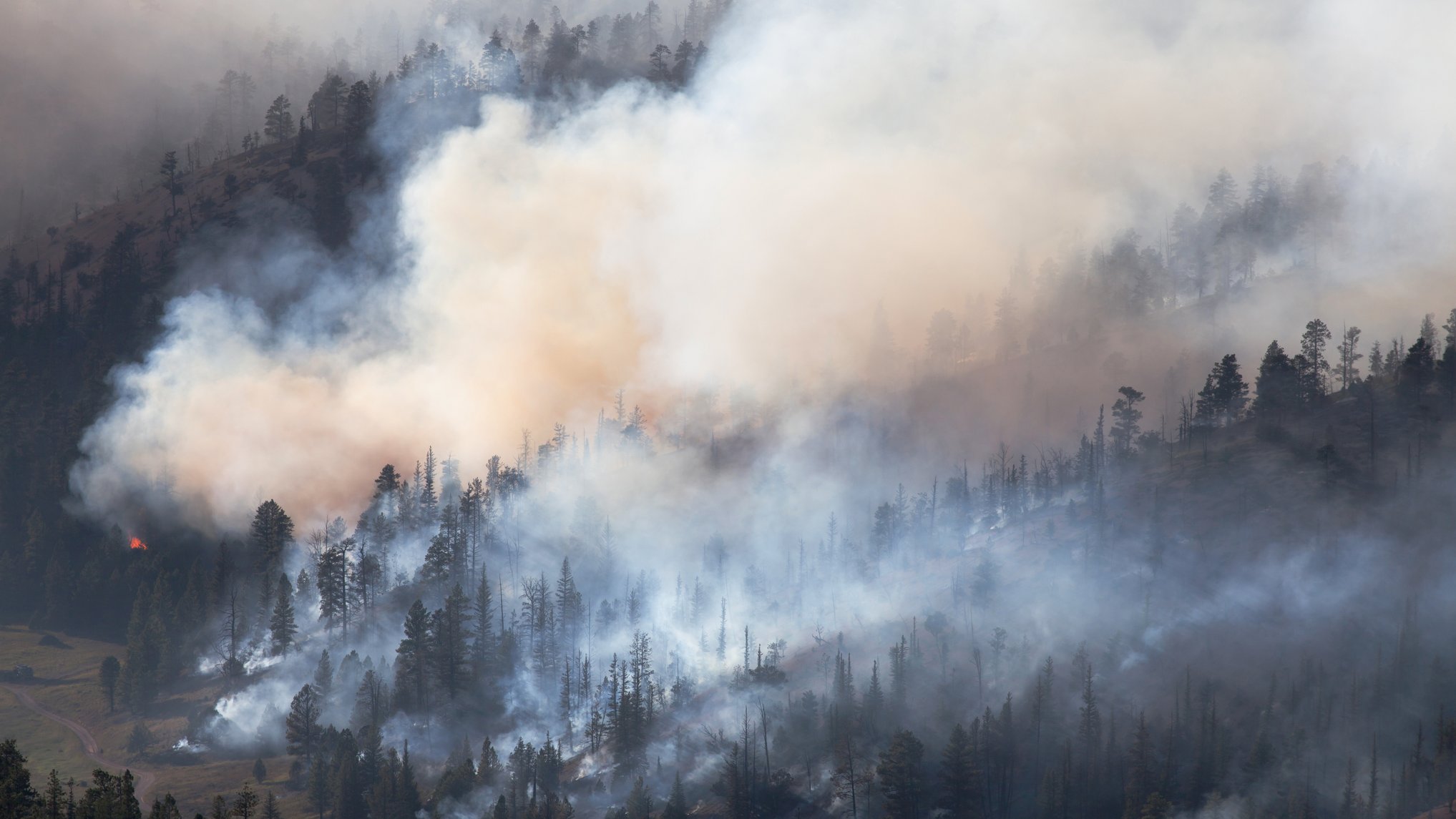 Forest Fire on September 1, 2019 in Dixie National Forest, Utah, United States.
