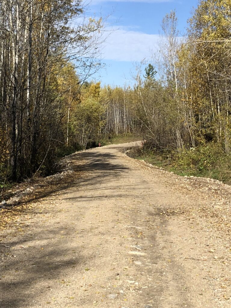 Gravel Forest Road 601DAA curving through aspen trees in Superior National Forest