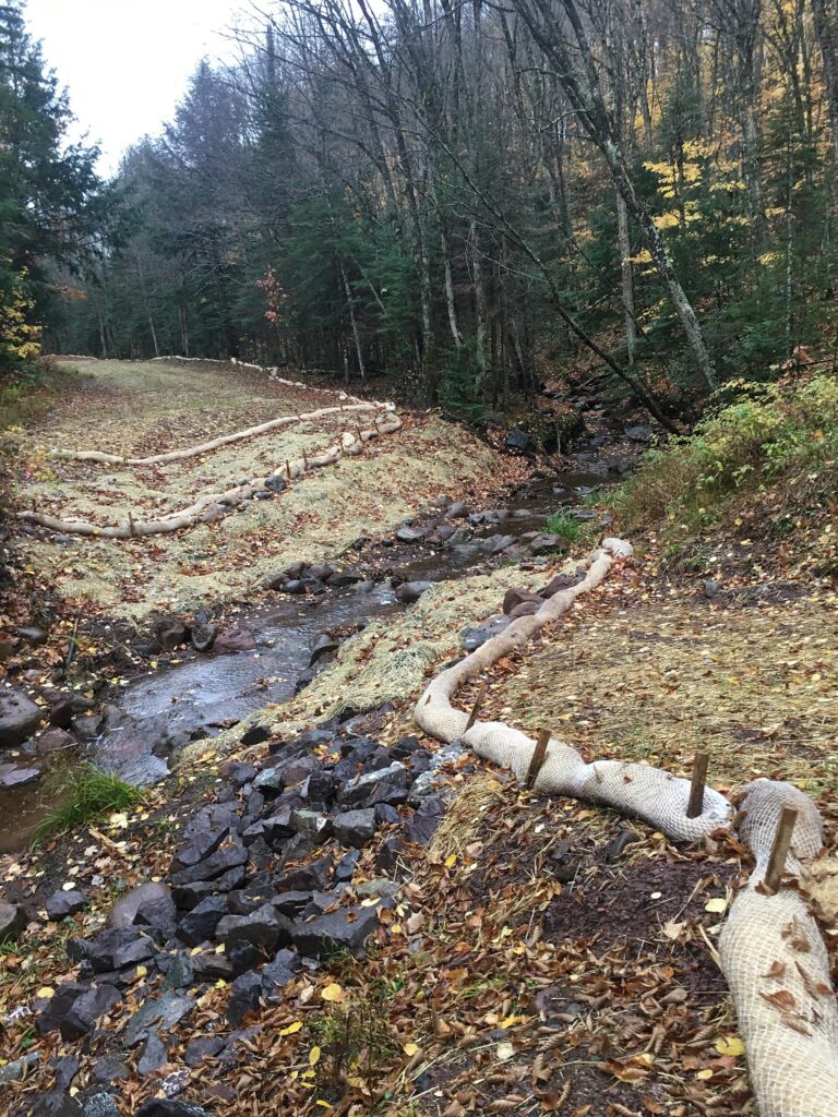 Former forest road converted into a stream restoration site
