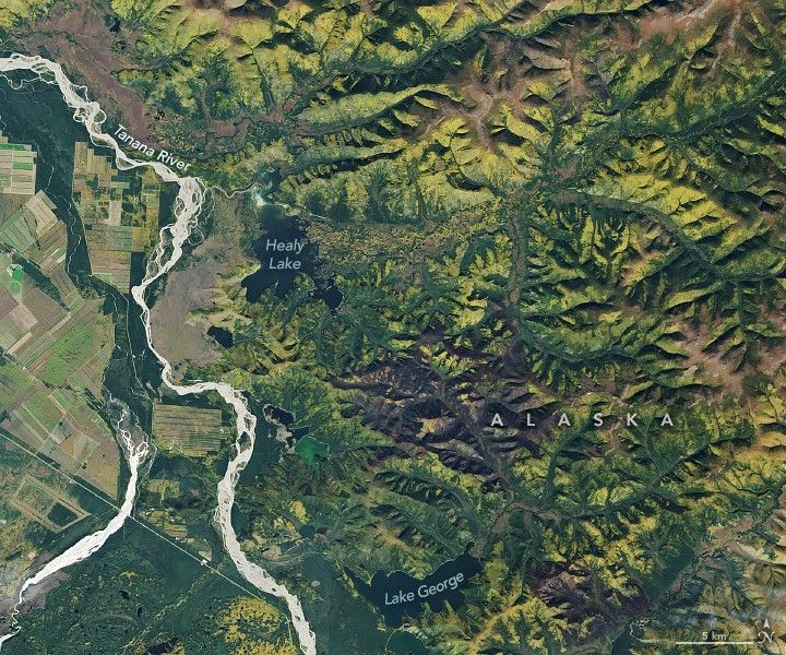 Satellite view of a boreal forest in autumn with golden patches of deciduous trees scattered among dark green conifers
