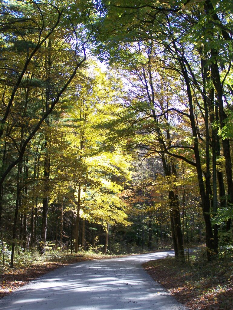 Tower Ridge Road through the Hoosier National Forest in Indiana