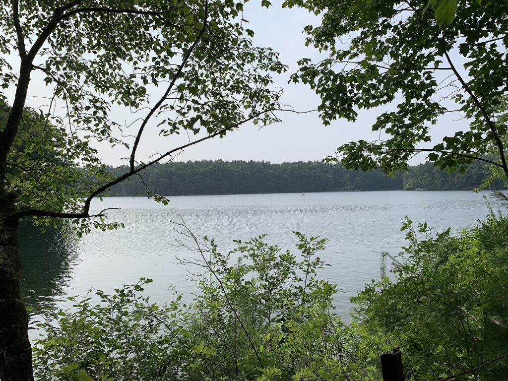 View of Walden Pond through trees in Concord, Massachusetts